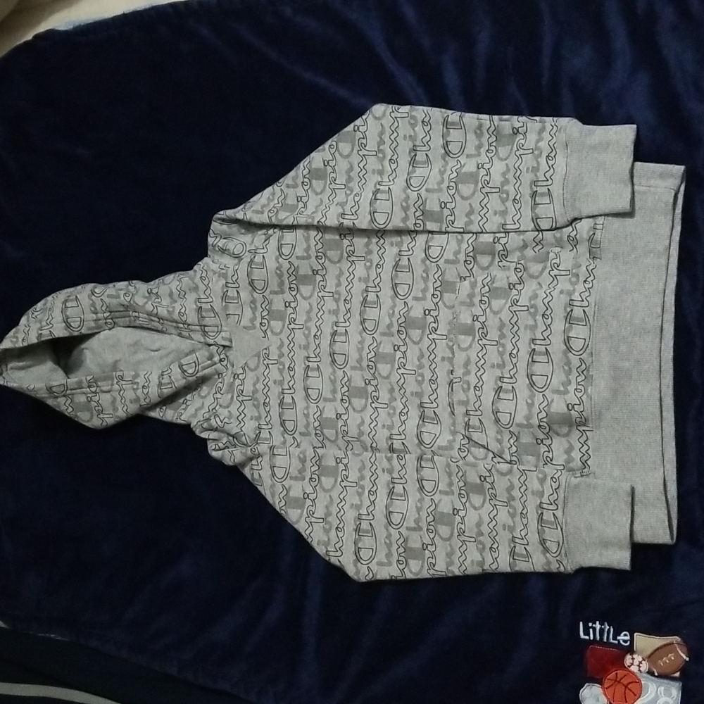 Champion Hooded Sweater